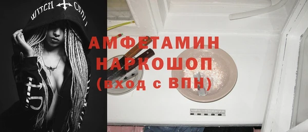 дмт Богданович