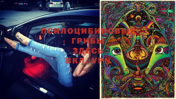 спайс Богородицк