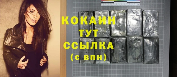 дмт Богданович