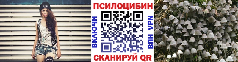 Галлюциногенные грибы GOLDEN TEACHER  где можно купить наркотик  Дорогобуж 