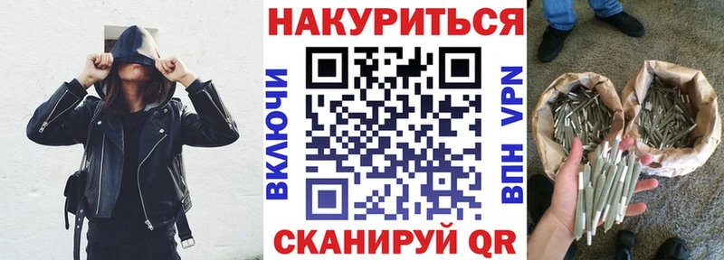 Конопля сатива  Дорогобуж 